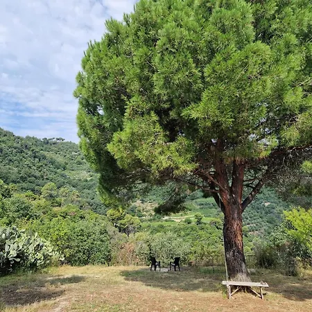Il Corbezzolo